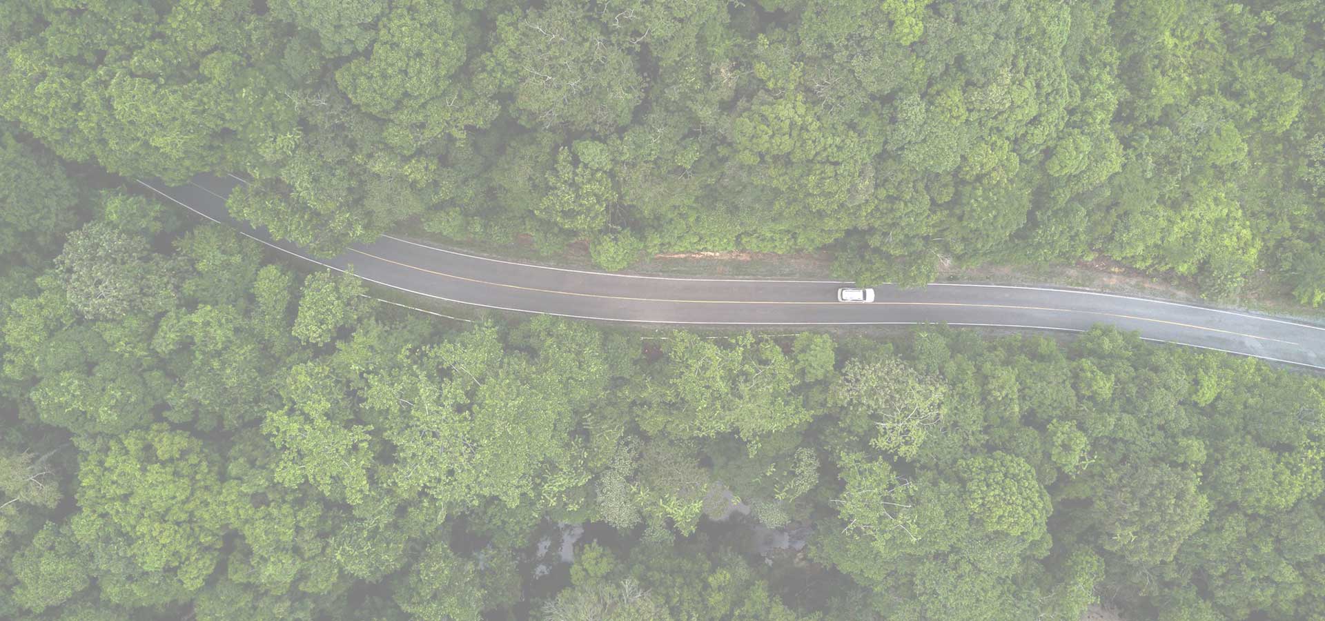背景.jpg